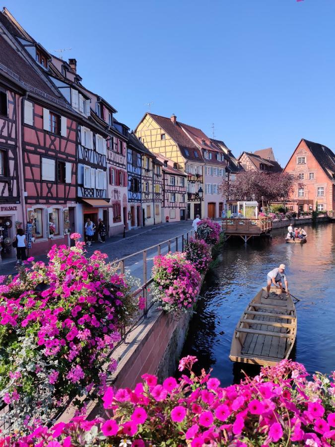 Appartement Au Bretzel Doré - Centre Historique Colmar